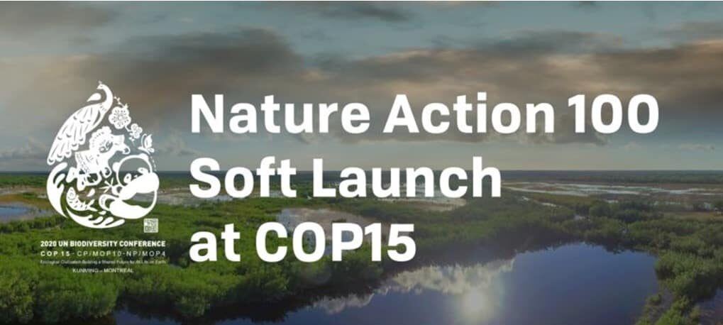 Image of Nature Action 100 launch campaign